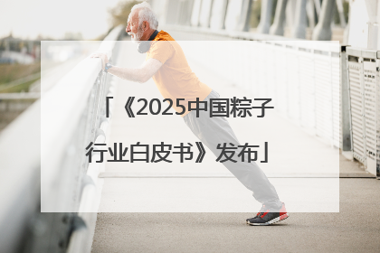 《2025中国粽子行业白皮书》发布