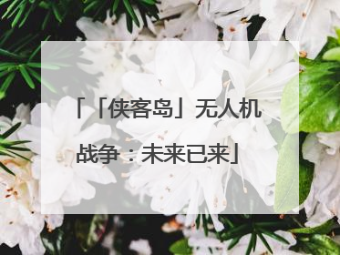 「侠客岛」无人机战争：未来已来