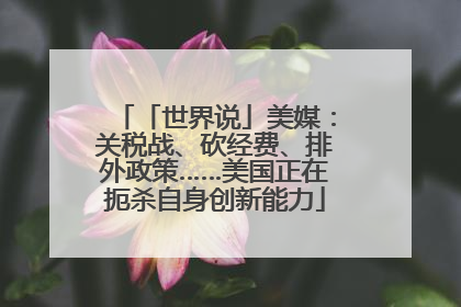 「世界说」美媒：关税战、砍经费、排外政策……美国正在扼杀自身创新能力