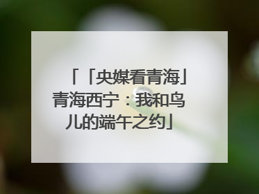 「央媒看青海」青海西宁：我和鸟儿的端午之约