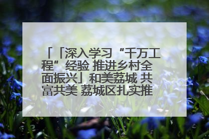 「深入学习“千万工程”经验 推进乡村全面振兴」和美荔城 共富共美 荔城区扎实推进乡村振兴工作