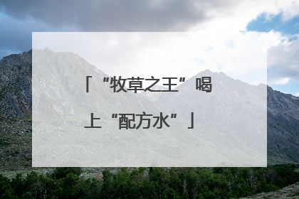 “牧草之王”喝上“配方水”