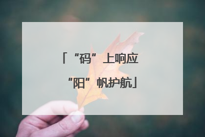 “码”上响应 “阳”帆护航