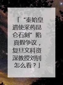 “秦始皇遣使采药昆仑石刻”陷真假争议，复旦文科资深教授刘钊怎么看？