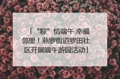 “粽”情端午 幸福邻里！燕罗街道罗田社区开展端午游园活动