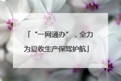 “一网通办”，全力为夏收生产保驾护航