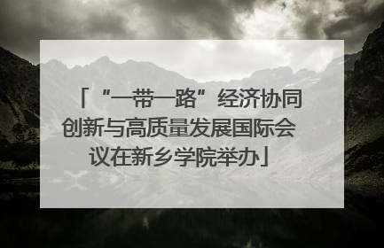 “一带一路”经济协同创新与高质量发展国际会议在新乡学院举办