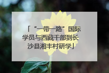 “一带一路”国际学员与西藏干部到长沙县湘丰村研学