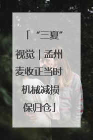 “三夏”视觉｜孟州麦收正当时 机械减损保归仓