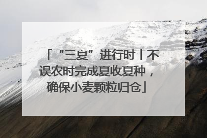 “三夏”进行时丨不误农时完成夏收夏种，确保小麦颗粒归仓