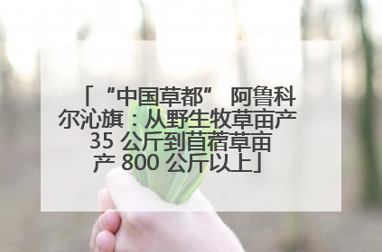 “中国草都” 阿鲁科尔沁旗：从野生牧草亩产 35 公斤到苜蓿草亩产 800 公斤以上