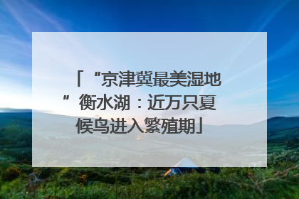 “京津冀最美湿地”衡水湖：近万只夏候鸟进入繁殖期