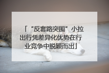 “反套路突围”小拉出行凭差异化优势在行业竞争中脱颖而出
