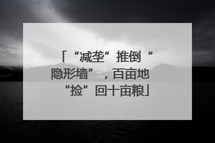 “减垄”推倒“隐形墙”，百亩地“捡”回十亩粮
