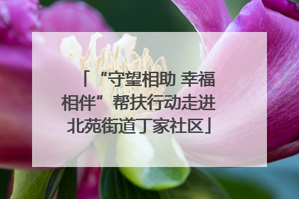“守望相助 幸福相伴”帮扶行动走进北苑街道丁家社区