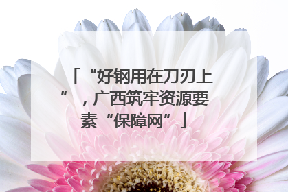 “好钢用在刀刃上”，广西筑牢资源要素“保障网”
