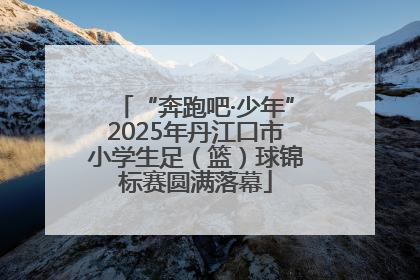 “奔跑吧·少年”2025年丹江口市小学生足（篮）球锦标赛圆满落幕