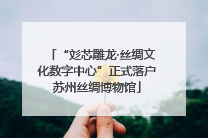 “彣芯雕龙·丝绸文化数字中心”正式落户苏州丝绸博物馆