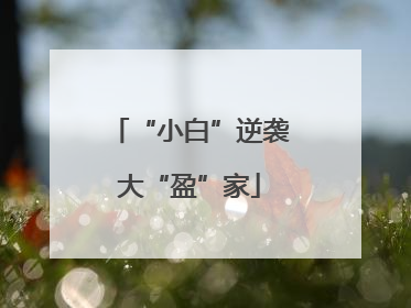 “小白”逆袭大“盈”家
