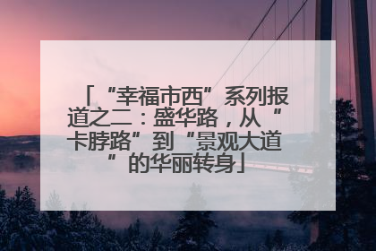 “幸福市西”系列报道之二：盛华路，从“卡脖路”到“景观大道”的华丽转身
