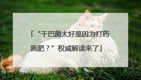 “干巴菌太好是因为打药施肥？”权威解读来了