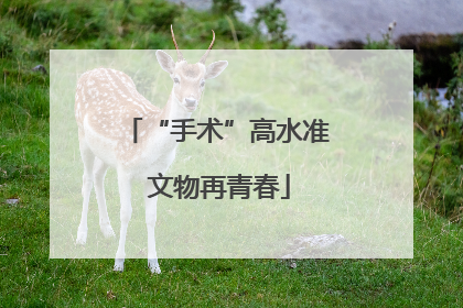 “手术”高水准 文物再青春
