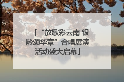 “放歌彩云南 银龄颂华章”合唱展演活动盛大启幕