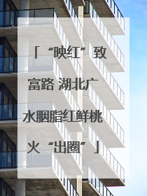 “映红”致富路 湖北广水胭脂红鲜桃火“出圈”