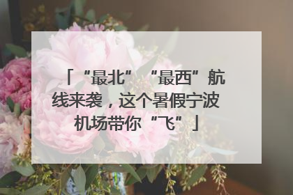 “最北”“最西”航线来袭，这个暑假宁波机场带你“飞”