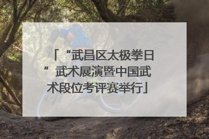 “武昌区太极拳日”武术展演暨中国武术段位考评赛举行