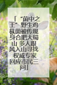 “菌中之王”野生鸡枞菌被传现身合肥大蜀山 多人跟风入山寻找 权威专家回应市民三问