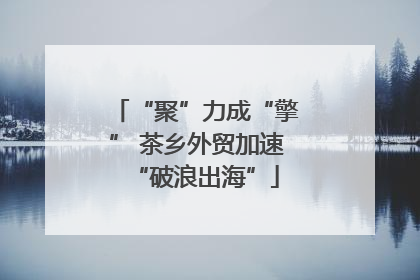 “聚”力成“擎” 茶乡外贸加速“破浪出海”