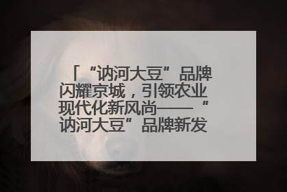 “讷河大豆”品牌闪耀京城，引领农业现代化新风尚——“讷河大豆”品牌新发地推介会圆满落幕