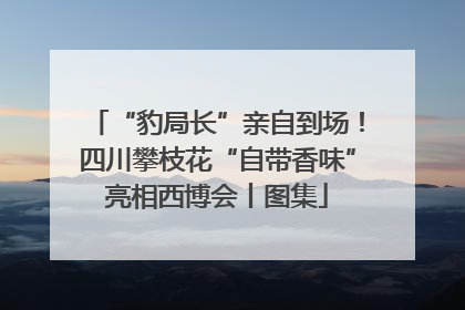 “豹局长”亲自到场！四川攀枝花“自带香味”亮相西博会丨图集