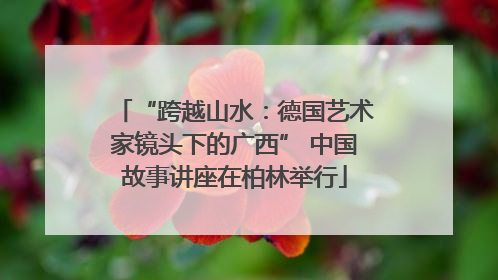 “跨越山水：德国艺术家镜头下的广西” 中国故事讲座在柏林举行