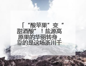 “酸苹果”变“甜酒酿”！盐源高原果的华丽转身，靠的是这场浙川千里“联姻”