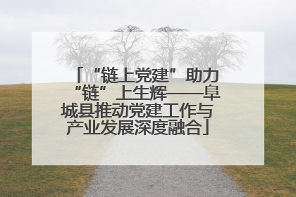 “链上党建”助力“链”上生辉——阜城县推动党建工作与产业发展深度融合
