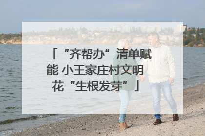 “齐帮办”清单赋能 小王家庄村文明花“生根发芽”