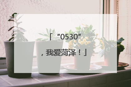 “0530”，我爱菏泽！