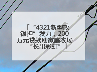 “4321新型政银担”发力，200万元贷款助家庭农场“长出彩虹”
