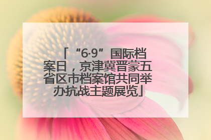 “6·9”国际档案日，京津冀晋蒙五省区市档案馆共同举办抗战主题展览