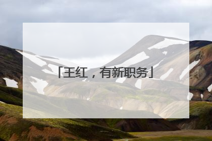 王红，有新职务