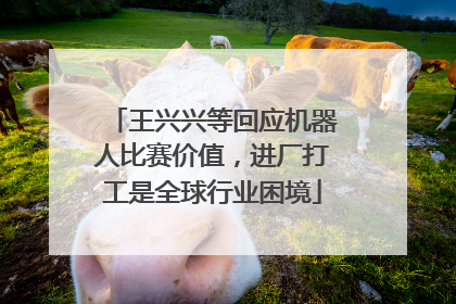 王兴兴等回应机器人比赛价值，进厂打工是全球行业困境