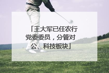 王大军已任农行党委委员，分管对公、科技板块