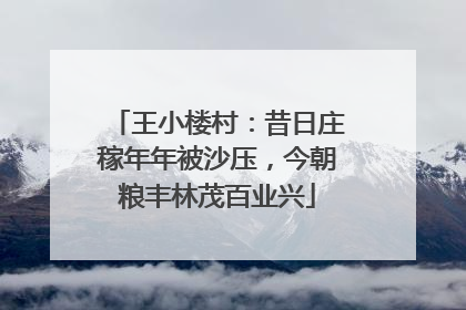 王小楼村：昔日庄稼年年被沙压，今朝粮丰林茂百业兴