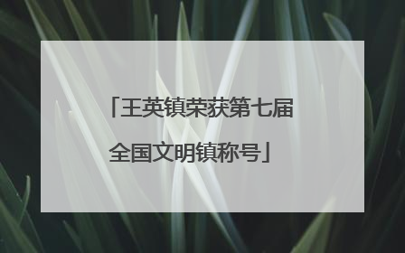 王英镇荣获第七届全国文明镇称号