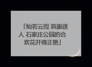 灿若云霞 旖旎迷人 石家庄公园的合欢花开得正艳
