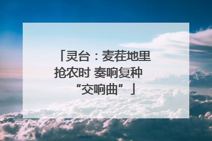 灵台：麦茬地里抢农时 奏响复种“交响曲”