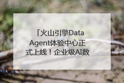 火山引擎Data Agent体验中心正式上线！企业级AI数据专家触手可及