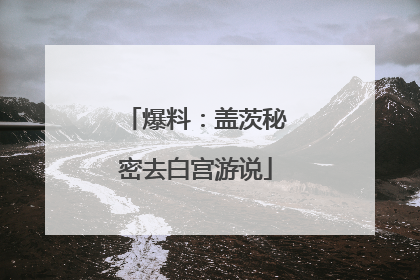 爆料：盖茨秘密去白宫游说